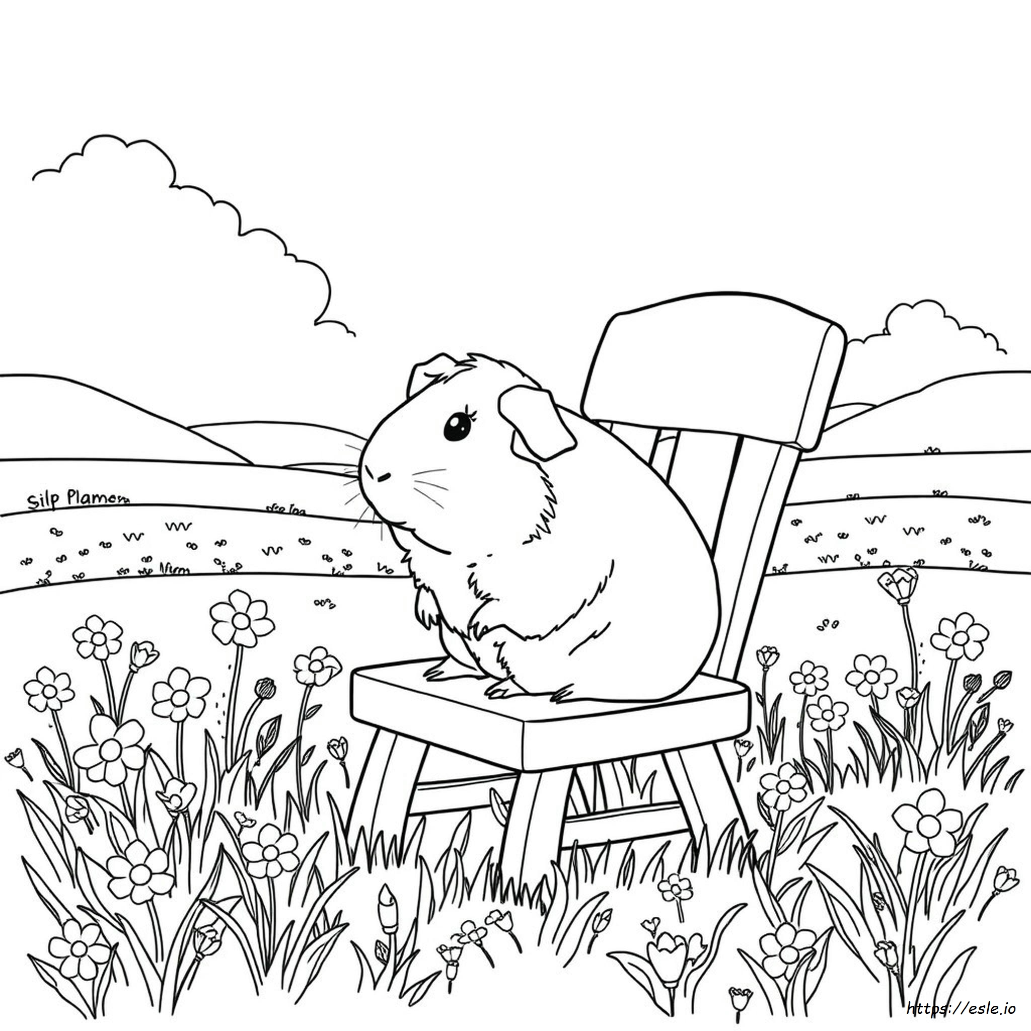 Free Guinea Pig Coloring Pages