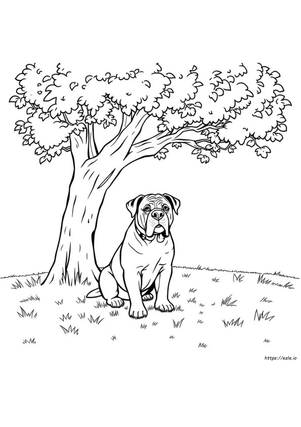 Mastiff Ausmalbilder