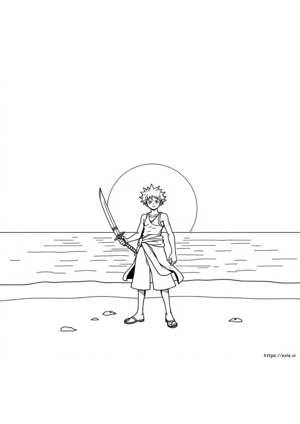 Zoro Colouring In