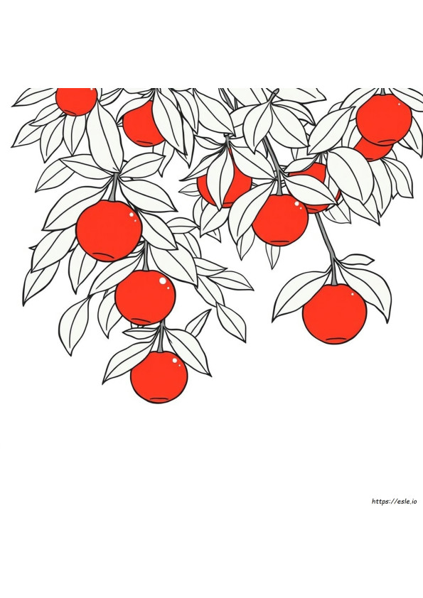 Mikan Coloring Page