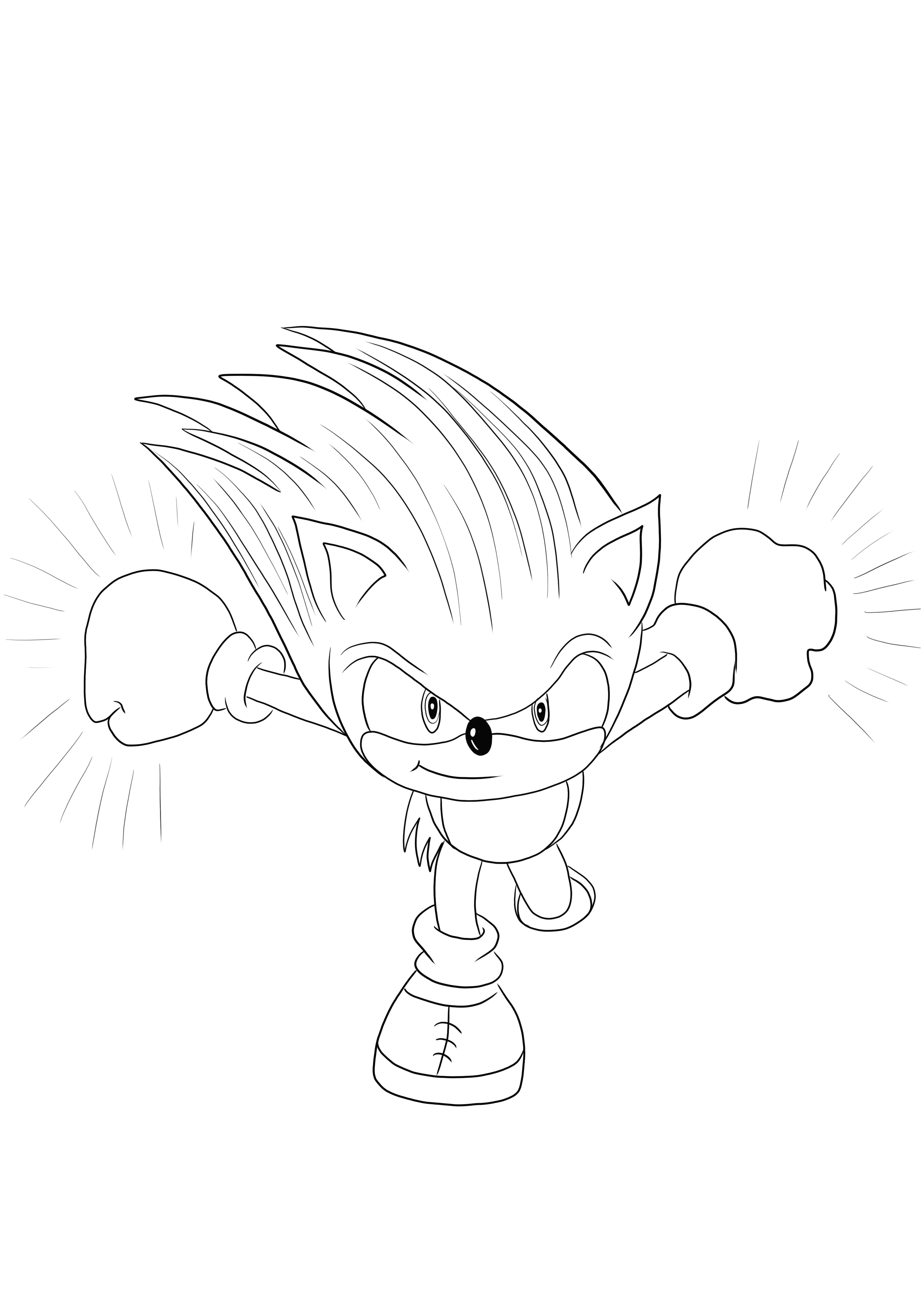 Sonic-for coloring and free printing or downloading for all age kids