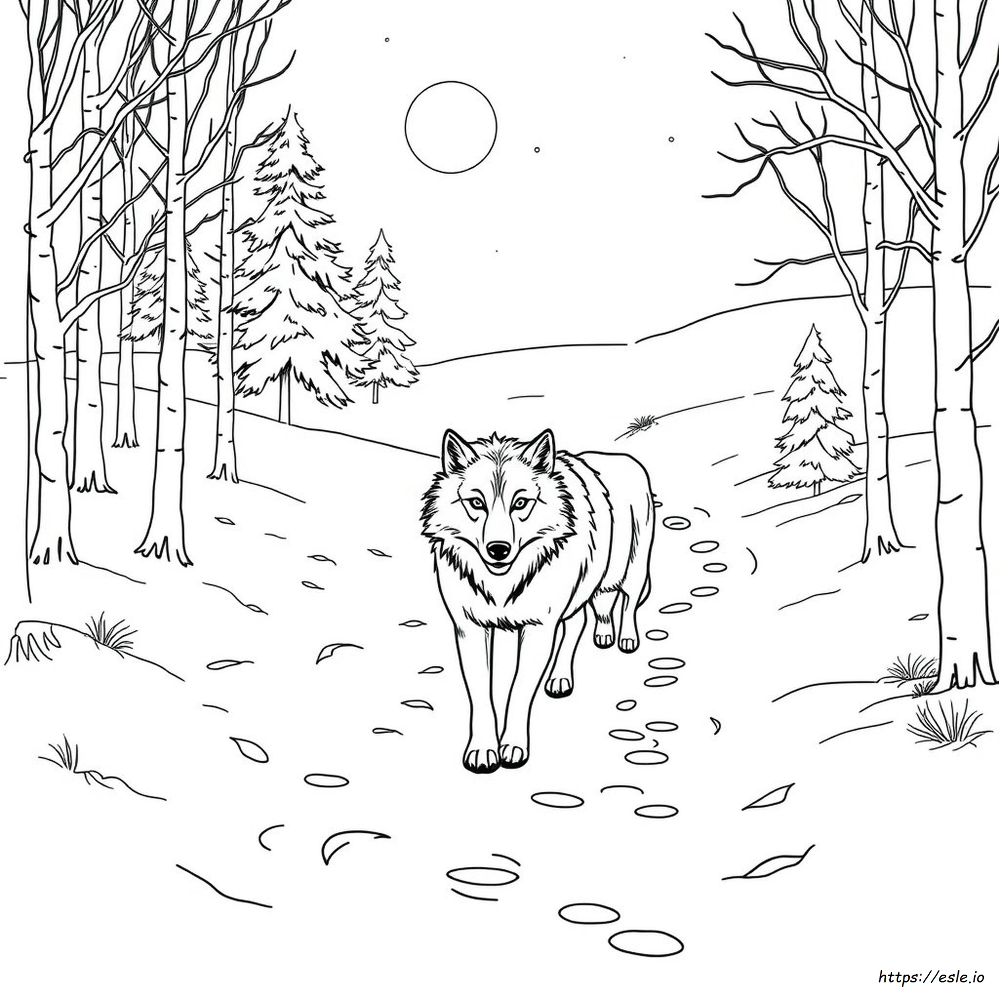 Realistic Coloring Pages Of Wolves