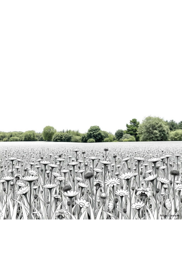 Foto Voor Kleurplaat