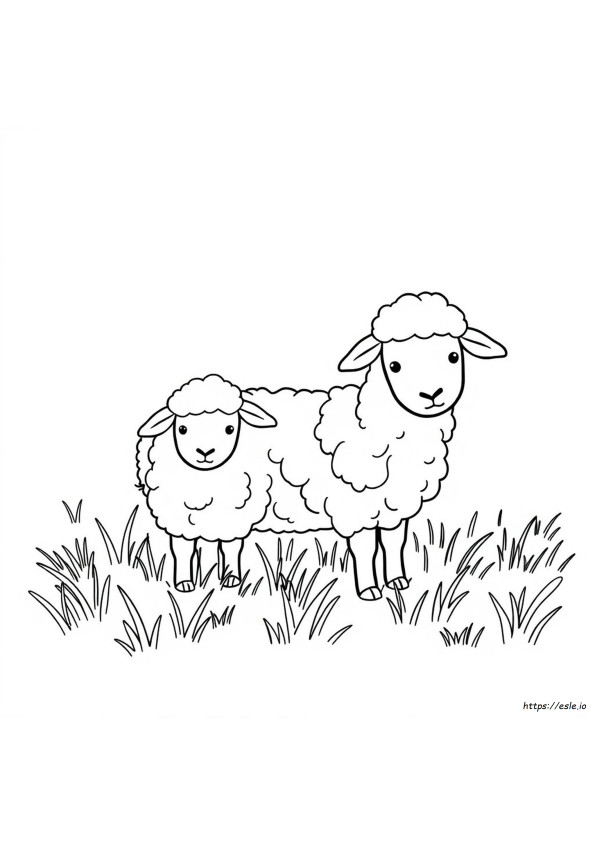 Coloriage Mouton