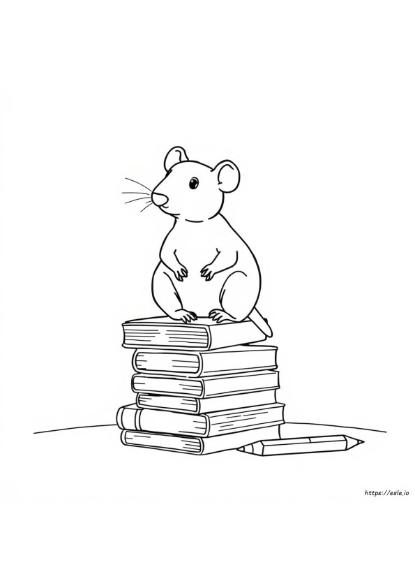Wie Man Eine Ratte Ausmalt