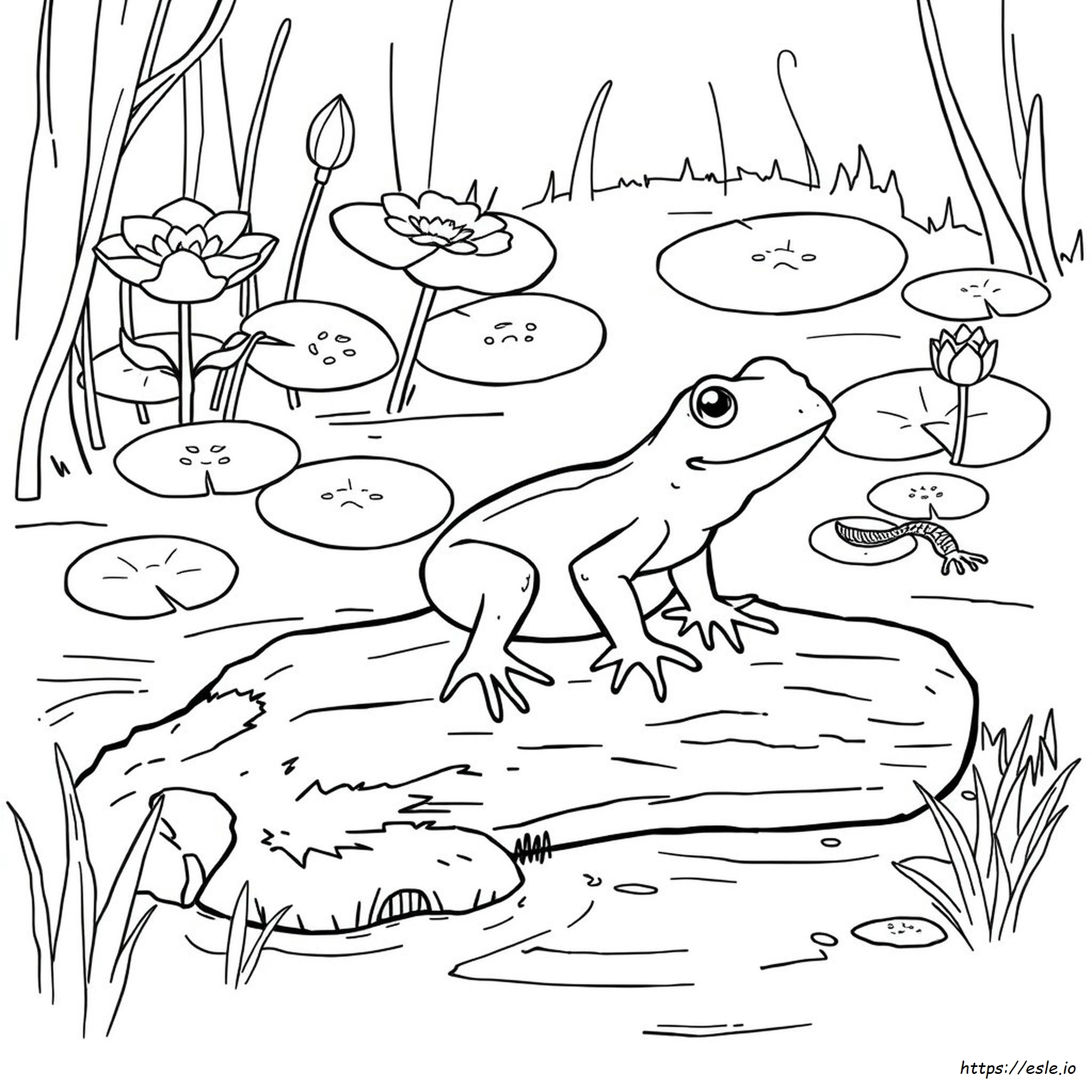 Newt Colouring Pages
