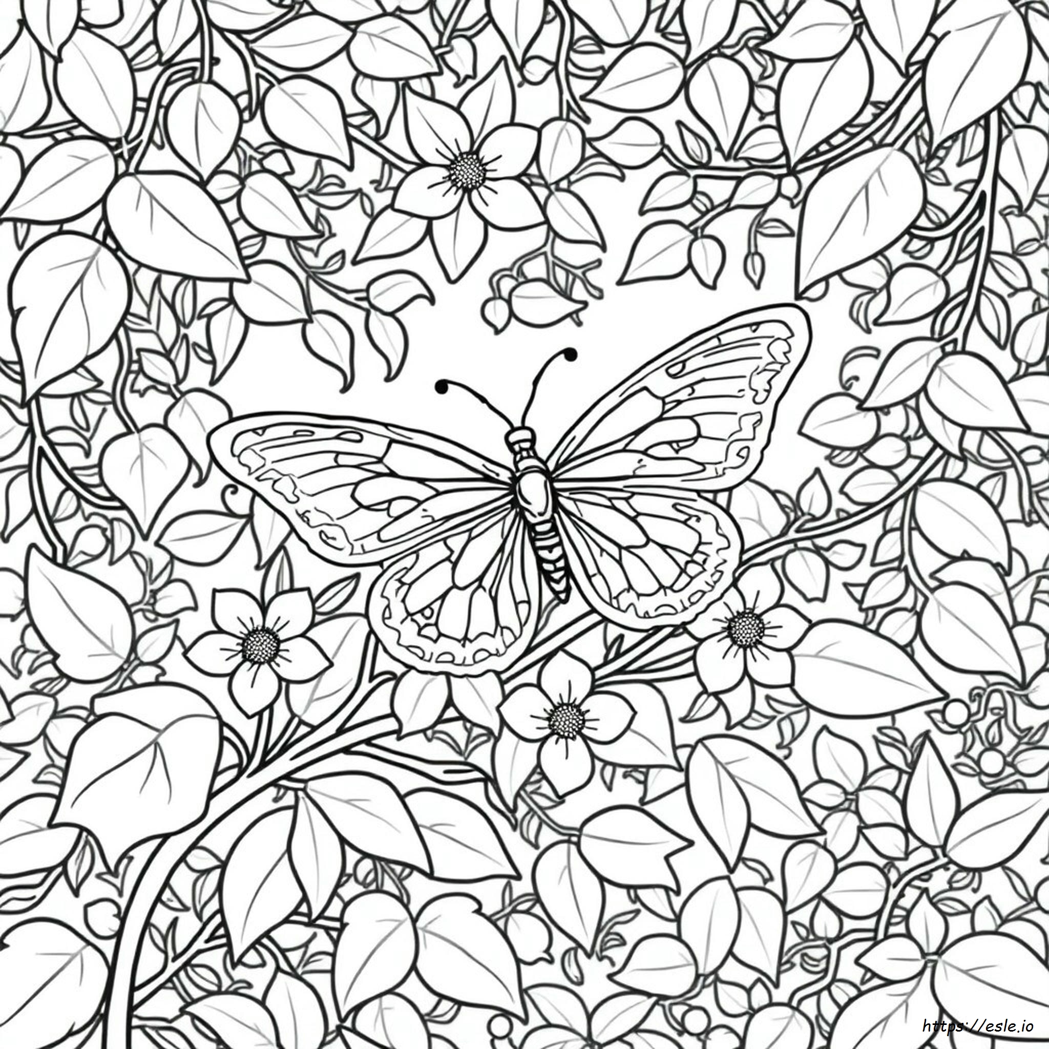 Disegni Da Colorare Stampabili Per Adulti