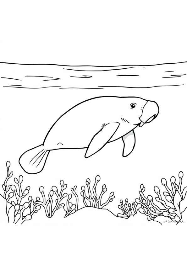 Coloriage Lamantin