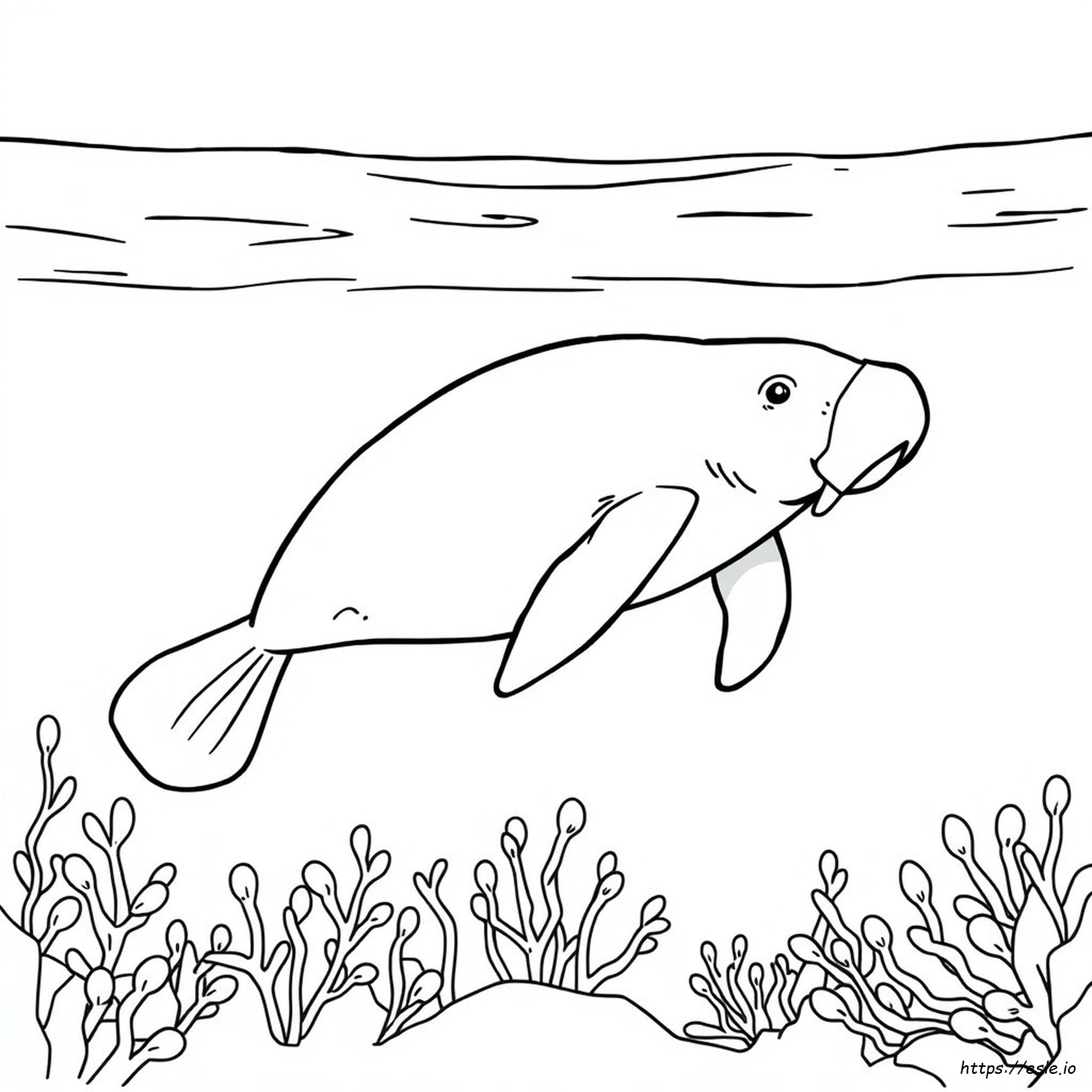 Manatee Coloring Picture