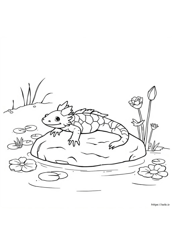 Axolotl Ausmalbilder
