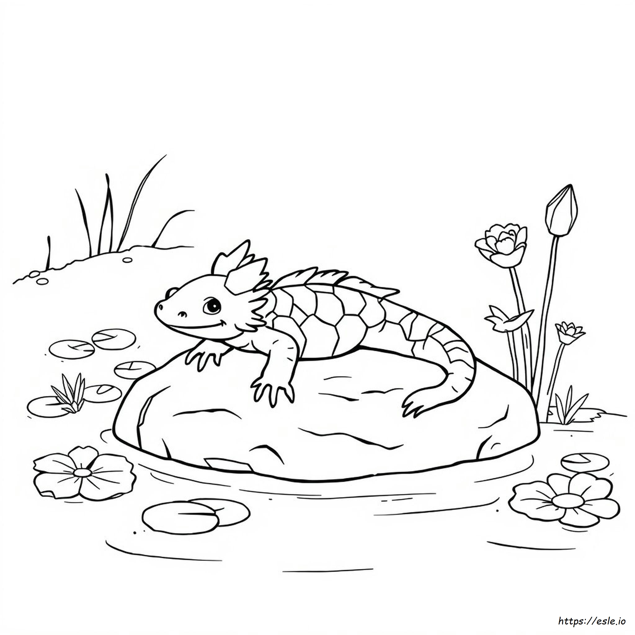 Axolotl Coloring Pictures