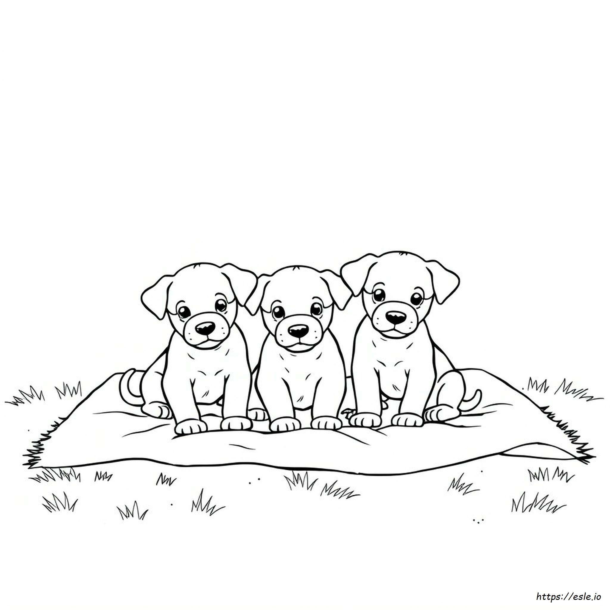 Adopt Me Colouring Pages