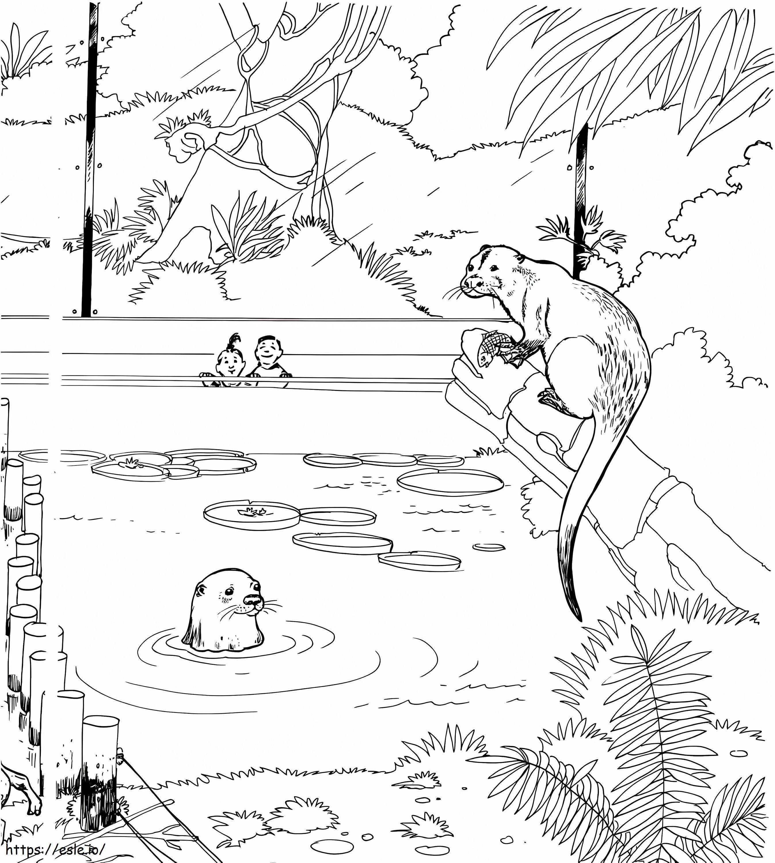 River Otter In A Zoo coloring page