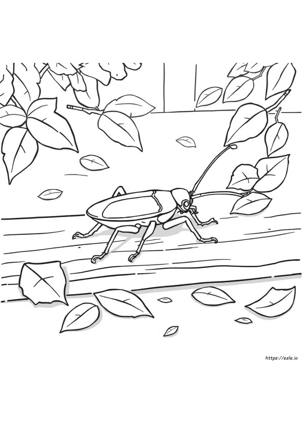 Coloriage Cafard