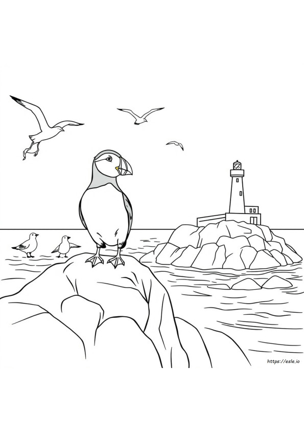 Puffin Coloring Pages To Print