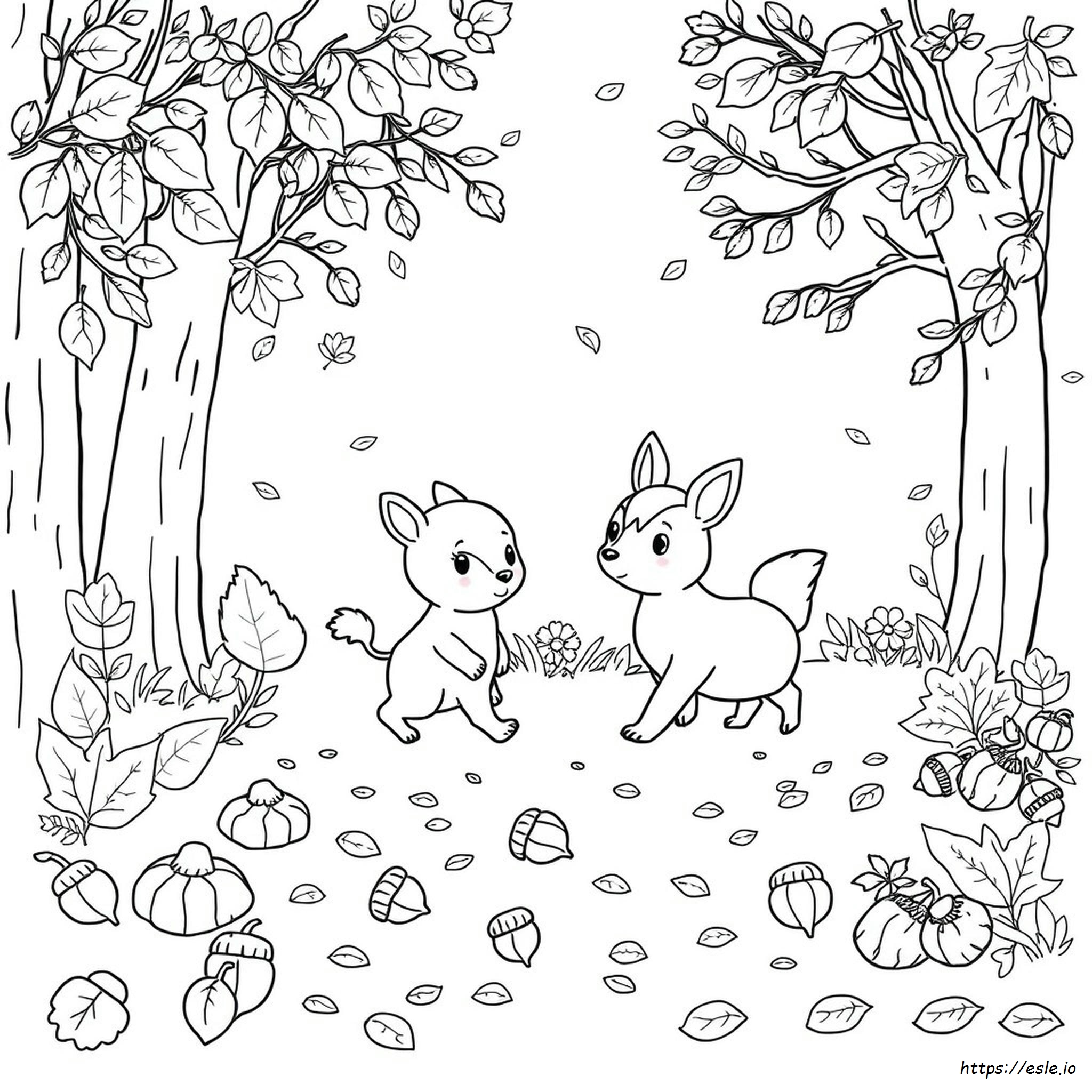 Animales De Oto o Para Colorear
