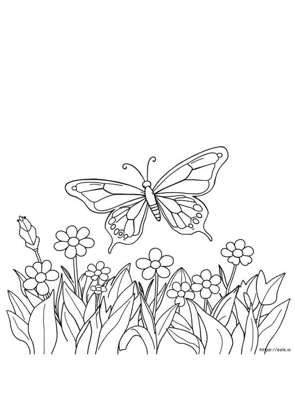 Mariposa Para Colorear Por Números