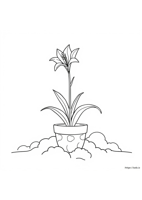 Coloriage Lys De Pâques