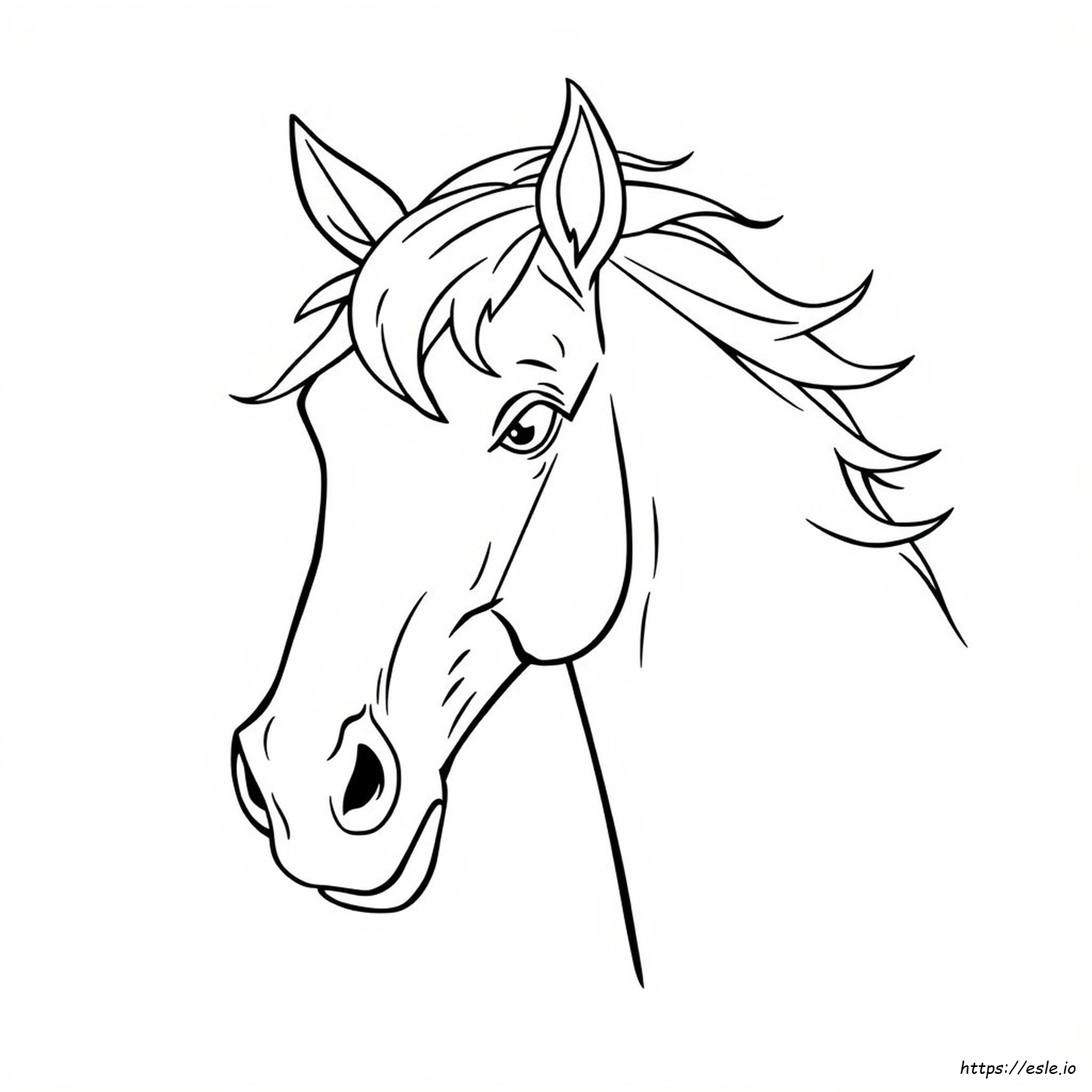 Horse Head Colouring