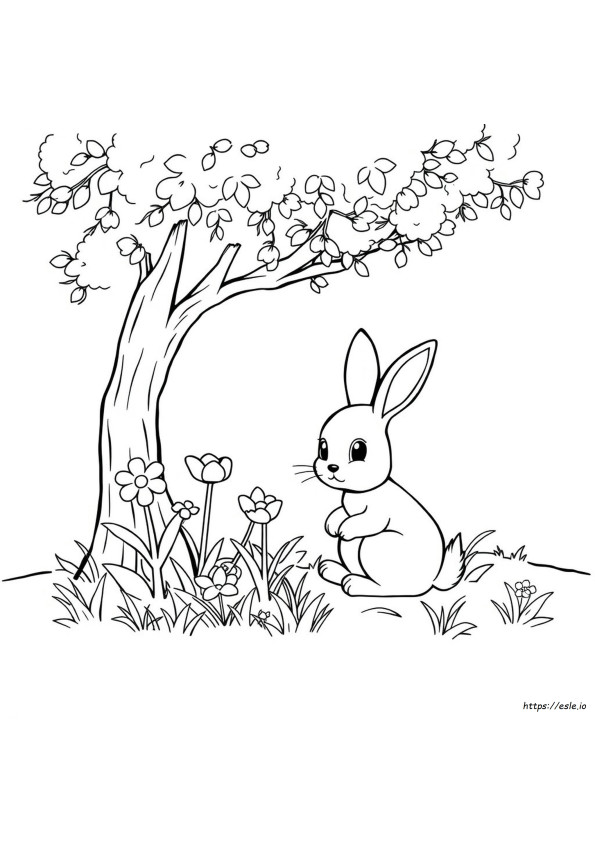 Disegni Carini Da Colorare