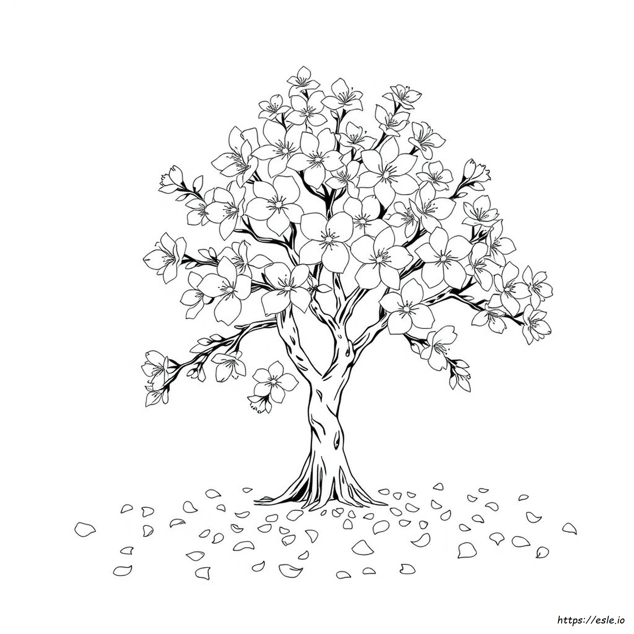 Anime Sakura Coloring Pages