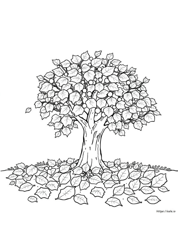 Autumn Fall Leaves Coloring Pages