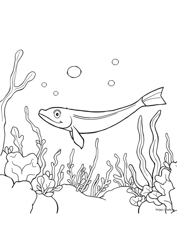 Coloriage Anguille