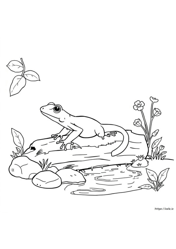 Newt Värityskuva