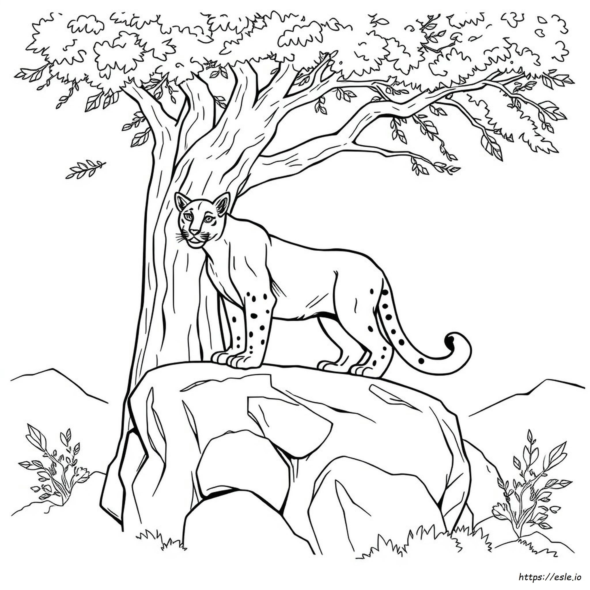 Realistic Cougar Coloring Page