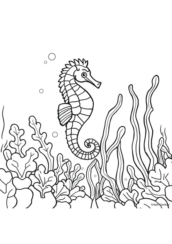 Căluț De Mare De Colorat Pdf