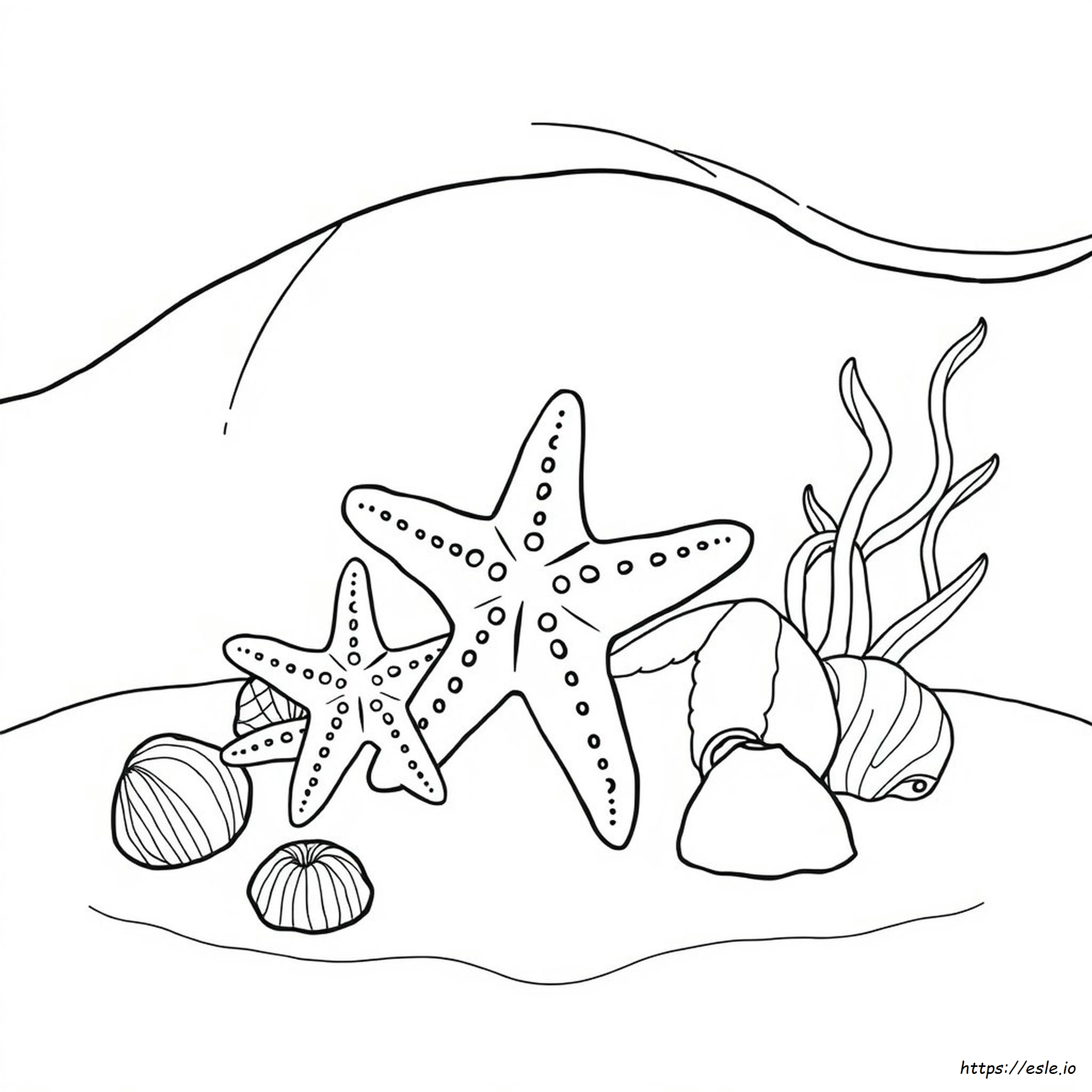Starfish Coloring Pages For Adults