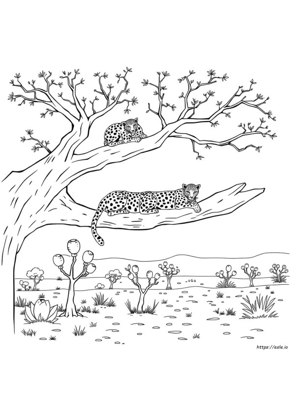 Coloring Picture Of Leopard