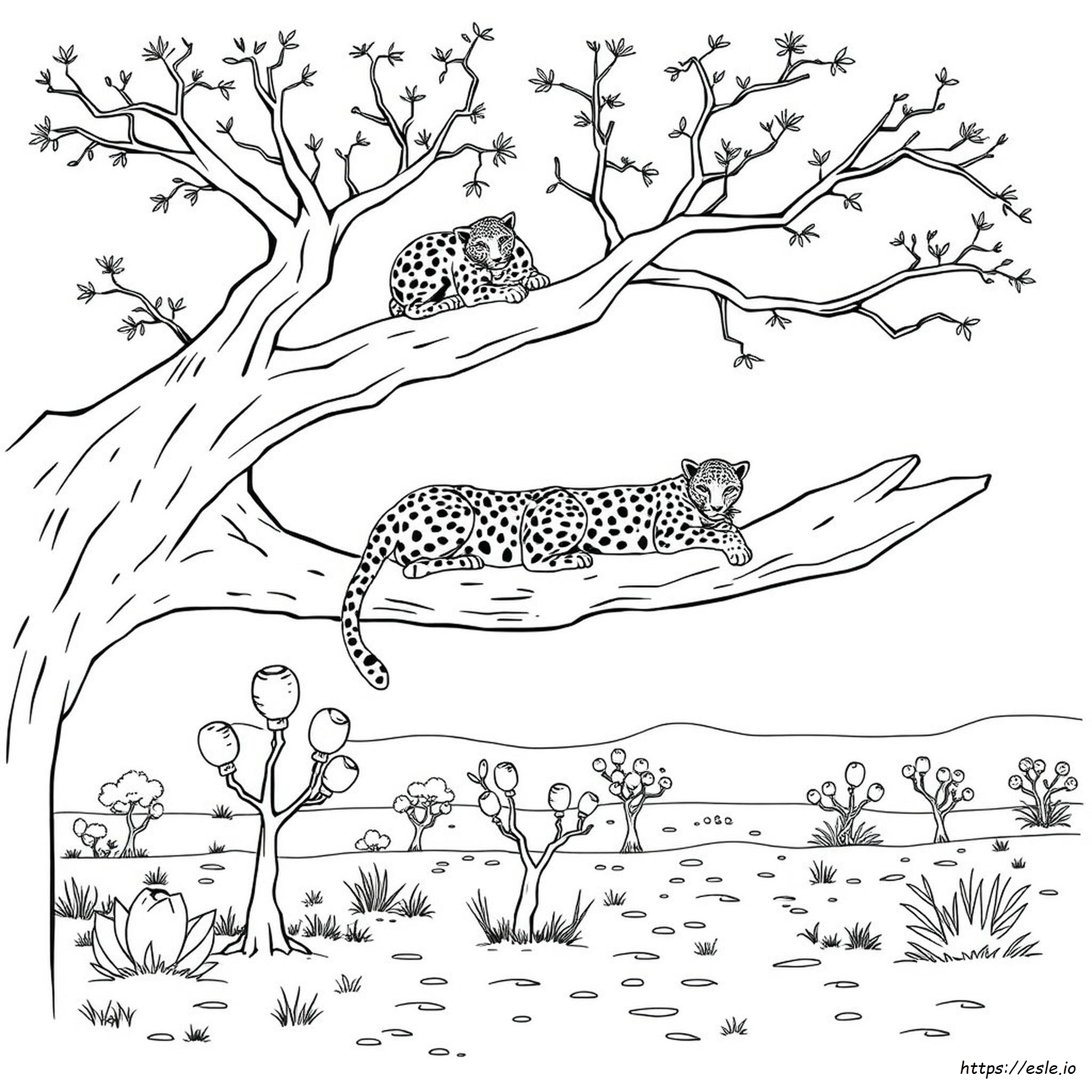 Coloring Picture Of Leopard