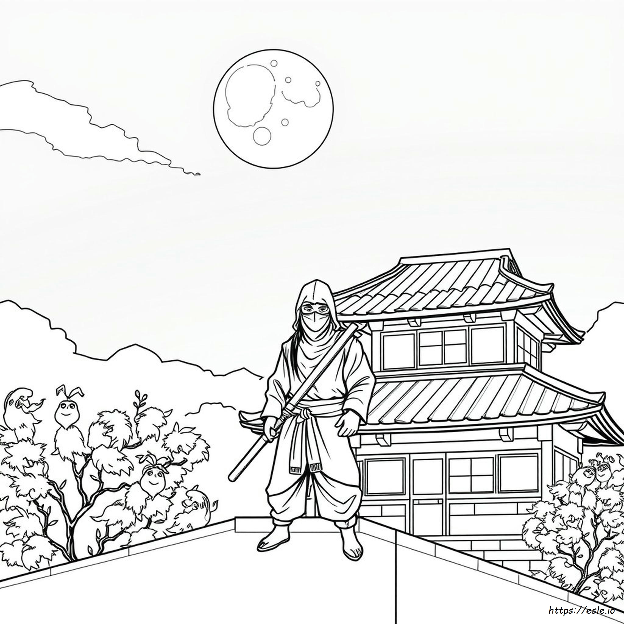 Ninja Coloring Pages For Adults