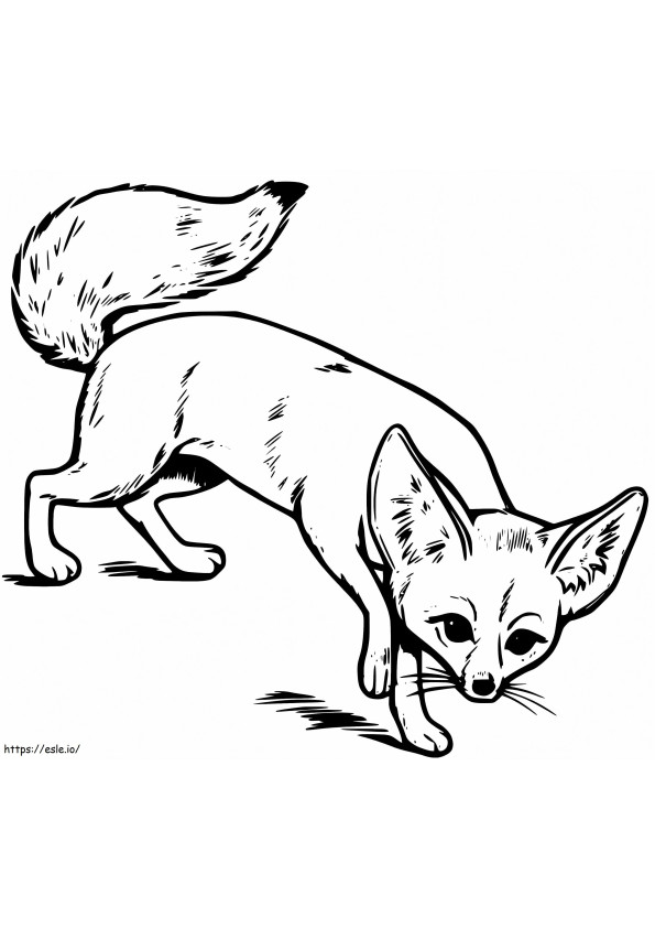 Fennec Fox 5 värityskuva