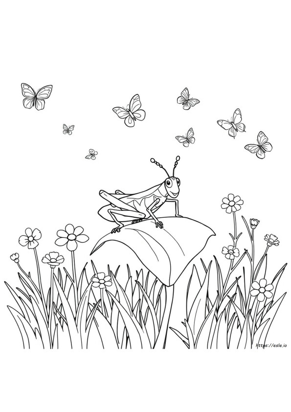 Coloriage Sauterelle À Imprimer