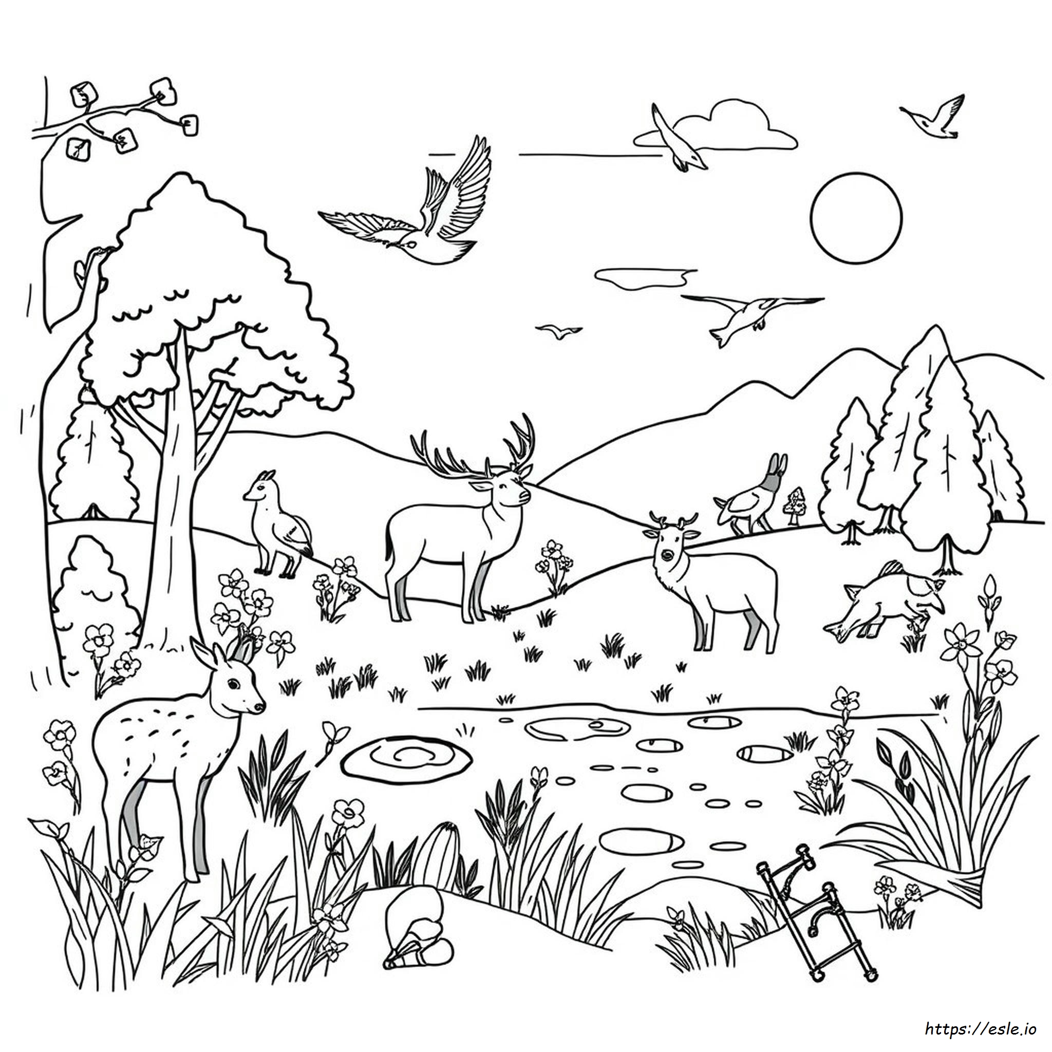 Disegni Da Colorare Di Animali Selvatici