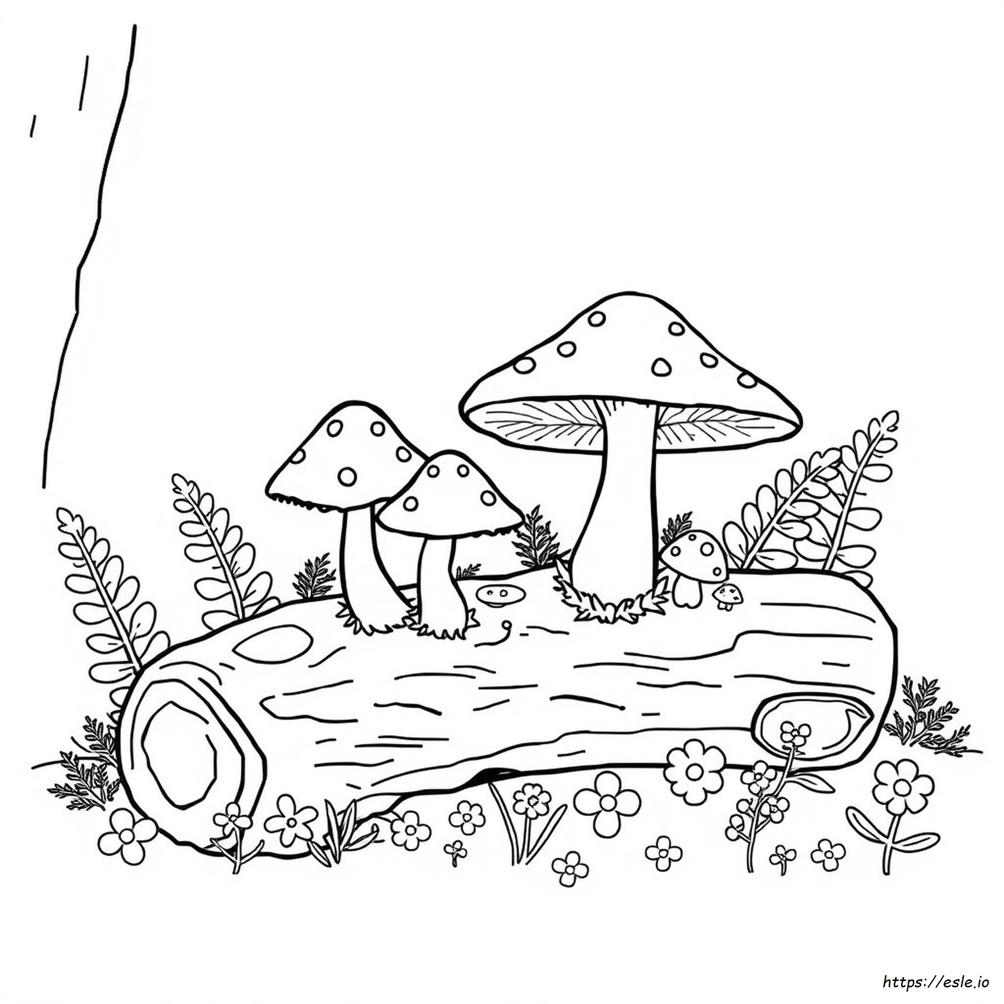 Disegni Da Colorare Di Funghi Da Stampare