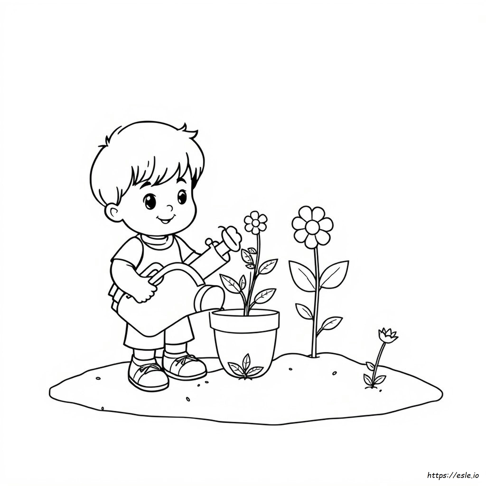 Kindergarten Plant Coloring Pages
