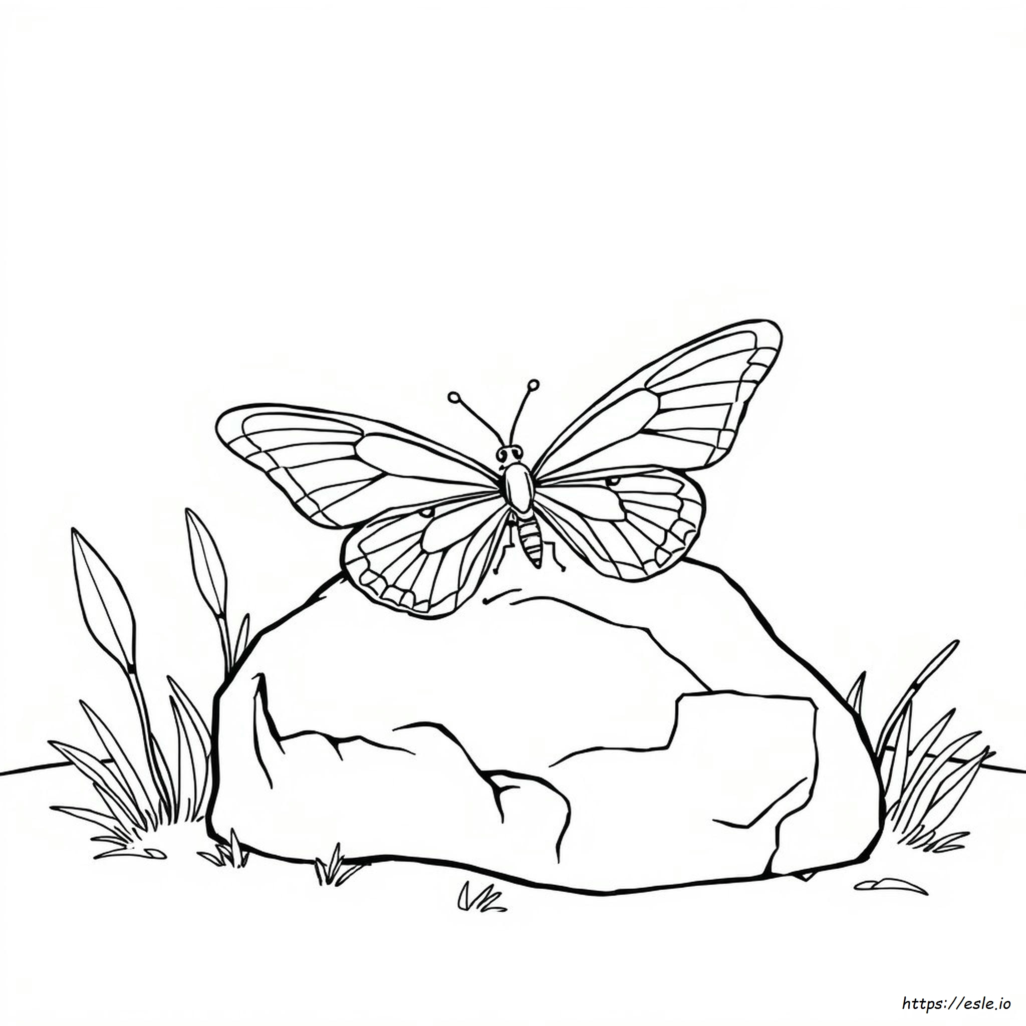 Farfalla In Bianco E Nero Da Colorare