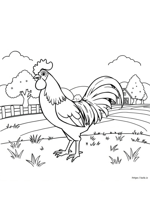 Página Para Colorear De Gallo