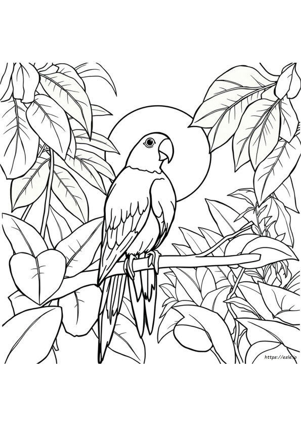 Pagini De Colorat Cu Papagali Tropicali