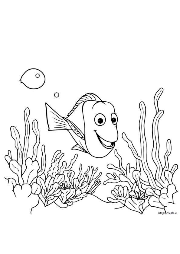 Colo<Binary Data, 1 Bytes>Iage Dory Poisson