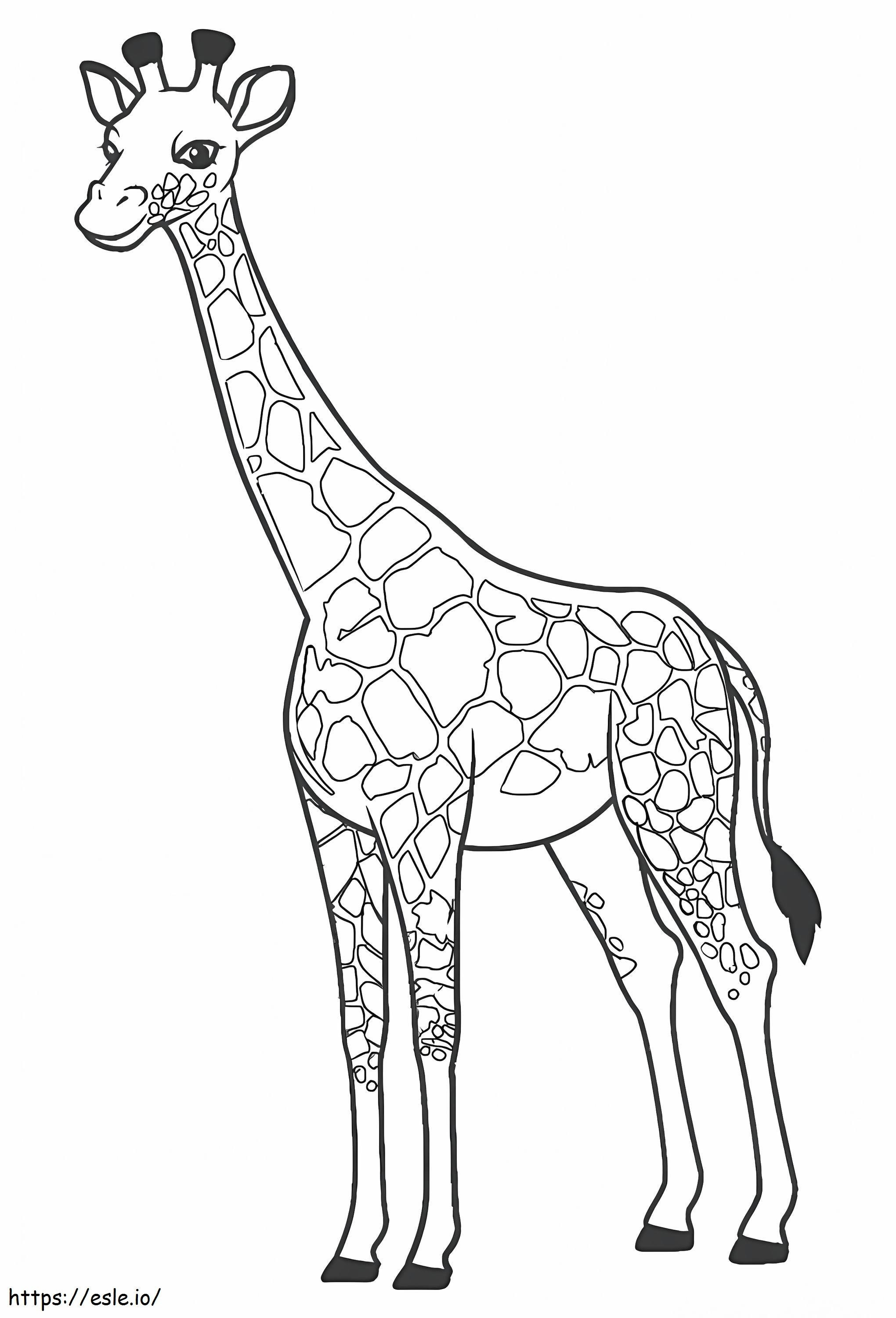 girafa básica para colorir