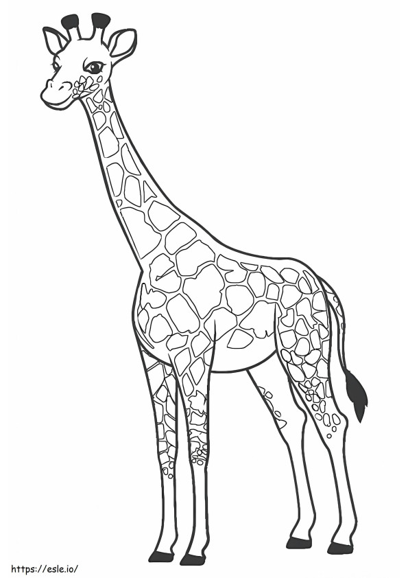 Basic Giraffe coloring page
