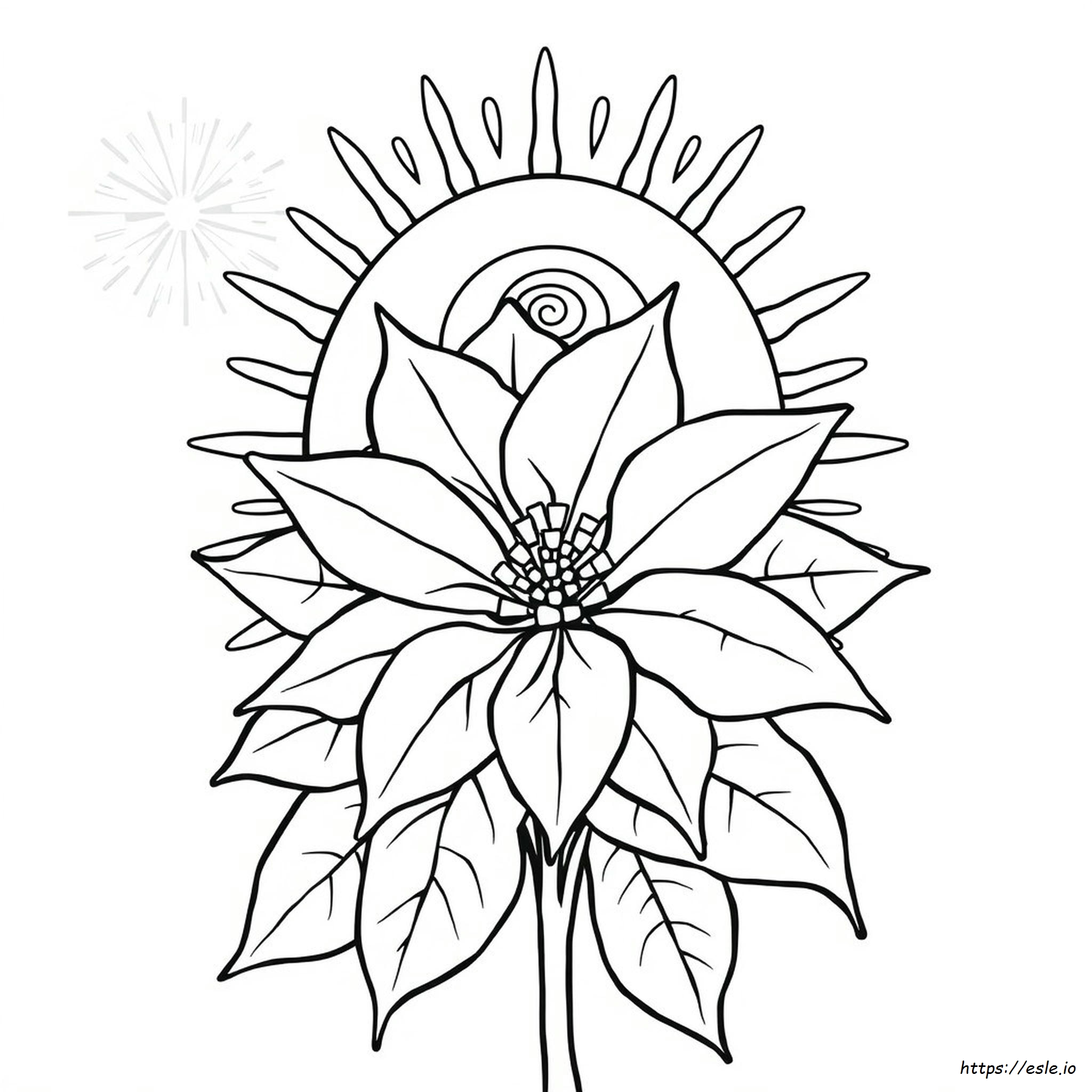 Mexico Poinsettia Coloring Page