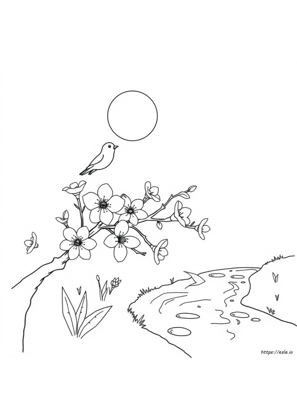 Coloriages De Printemps Dltk À Imprimer