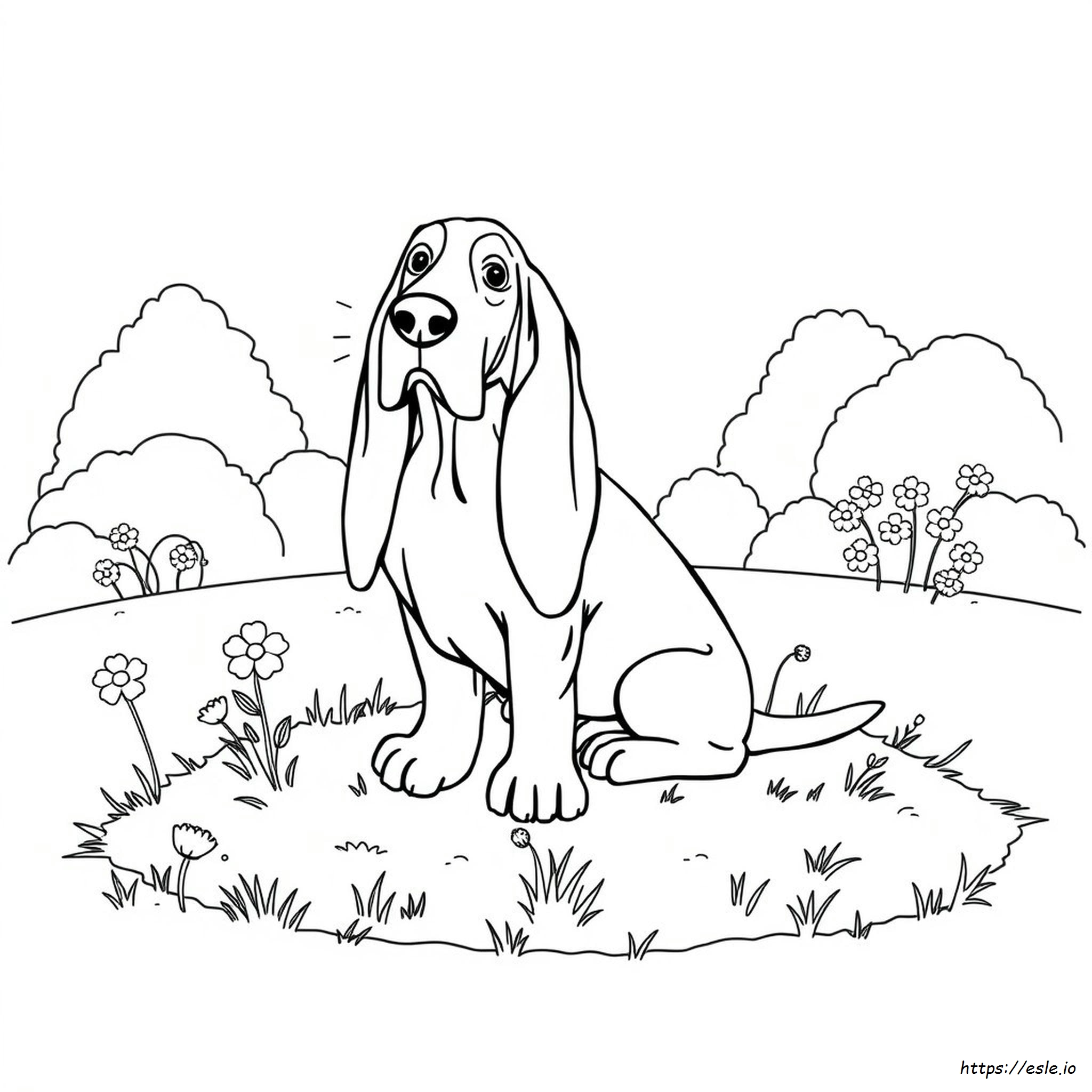 Coloring Pages Of Basset Hounds