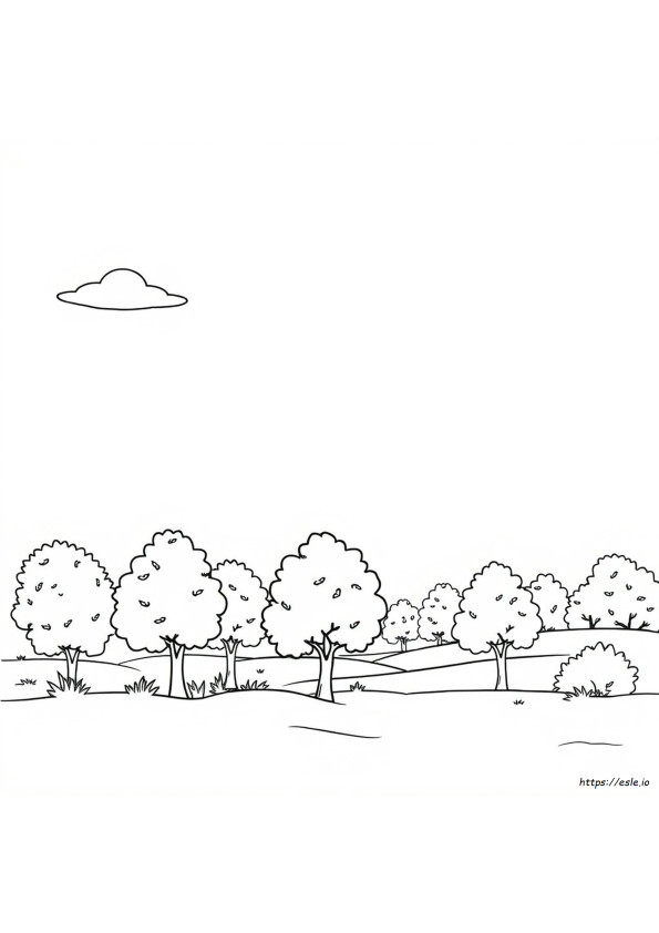 Realistic Pictures To Color