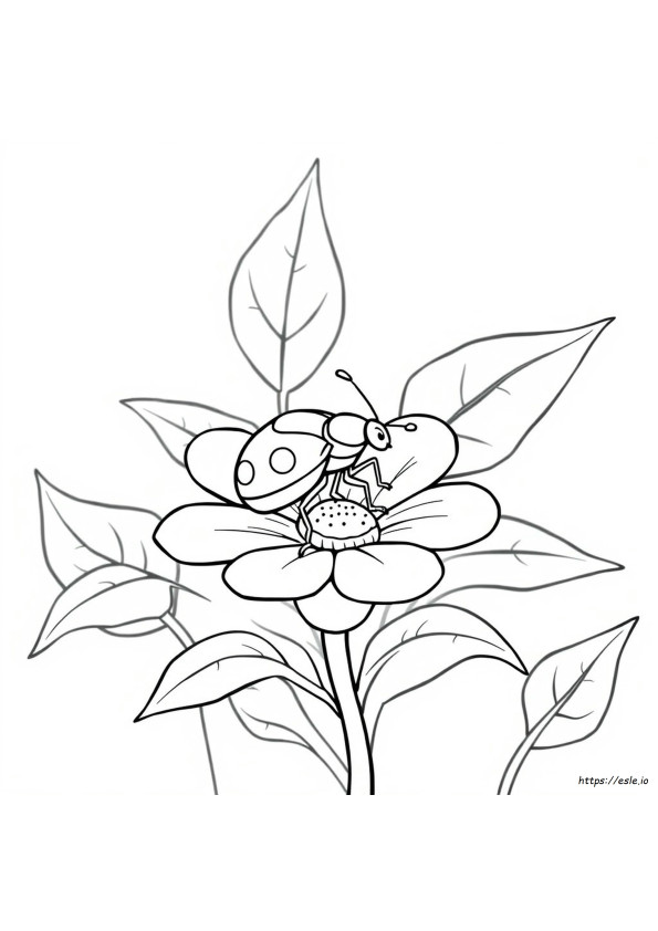 Coloriages D'insectes